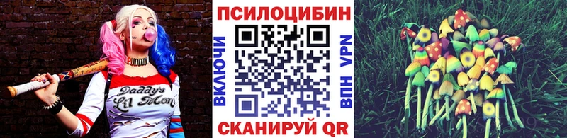 что такое   Отрадная  Псилоцибиновые грибы MAGIC MUSHROOMS 